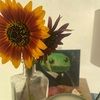 heatherhaendle1